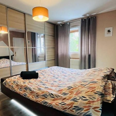 Appartement Proche Centre Ville Avec Parking Gratuit อานซี ภายนอก รูปภาพ