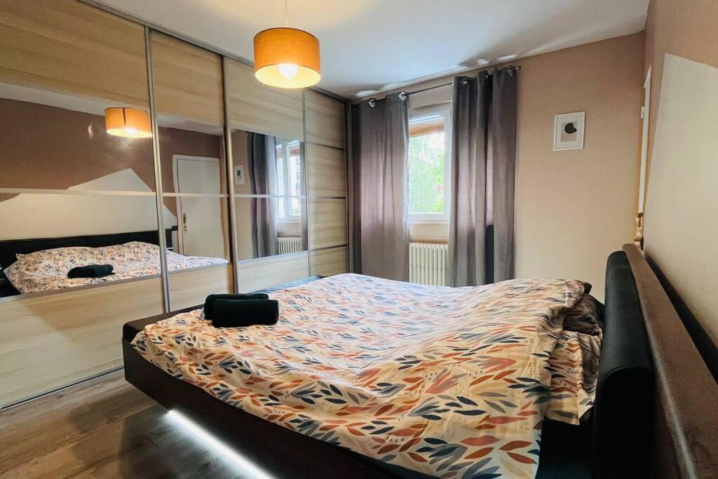 Appartement Proche Centre Ville Avec Parking Gratuit อานซี ภายนอก รูปภาพ